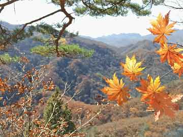 韶山自由行旅游攻略（韶山攻略一日游）